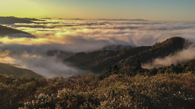 Mount Tamalpais State Park