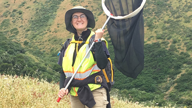 San Mateo Park Stewardship intern Parker Holzman Smith helps with the Mission blue butterfly translocation project.