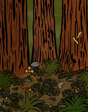 illustration of a healthier forest that has received beneficial fire
