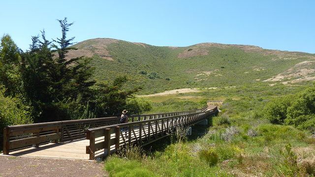 Capehart Bridge