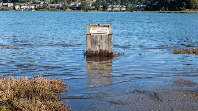 An underwater sign at Bothin Marsh.