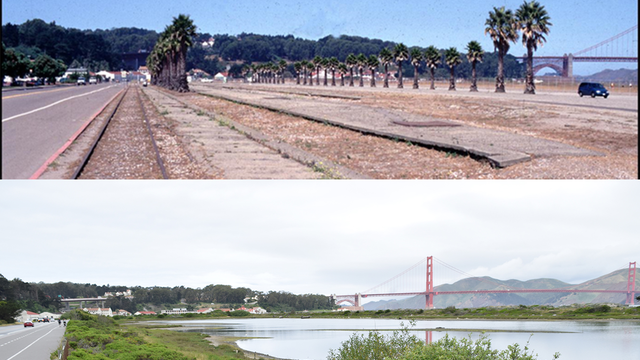 Crissy Field before and after restoration