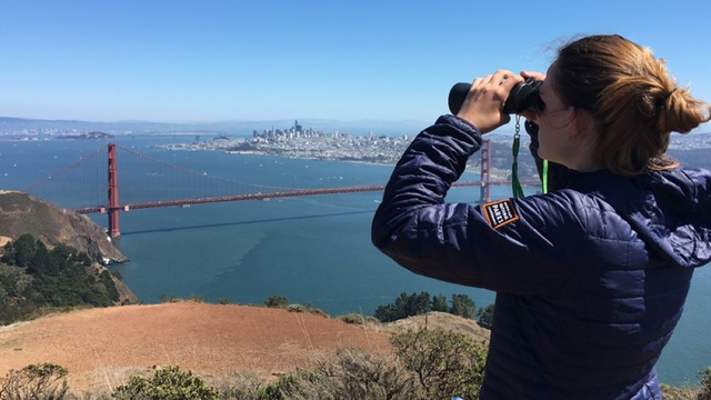 Hawkwatch at Hawk Hill
