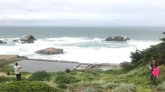 a hill of grass and flowers leads the ruins of Sutro Baths at Lands End overlooking the Pacific Ocean