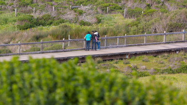 Hiking at Mori Point