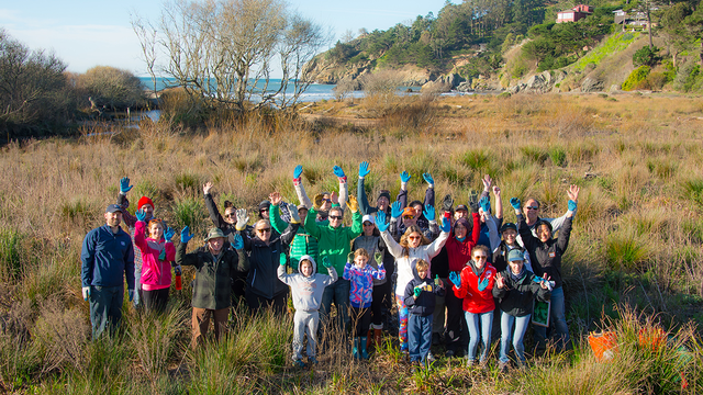 Volunteer group at Muir Beach