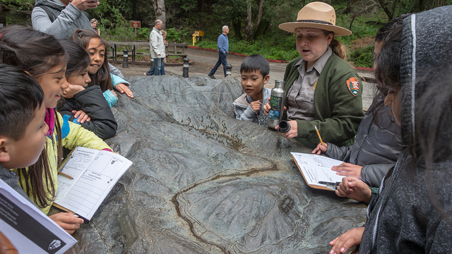 Bronze model of the Redwood Creek Watershed