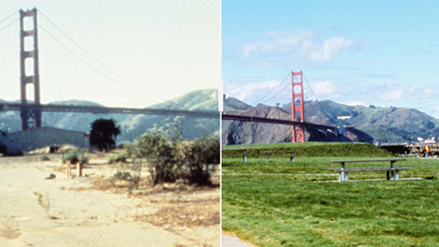 Before-and-after images crissy field