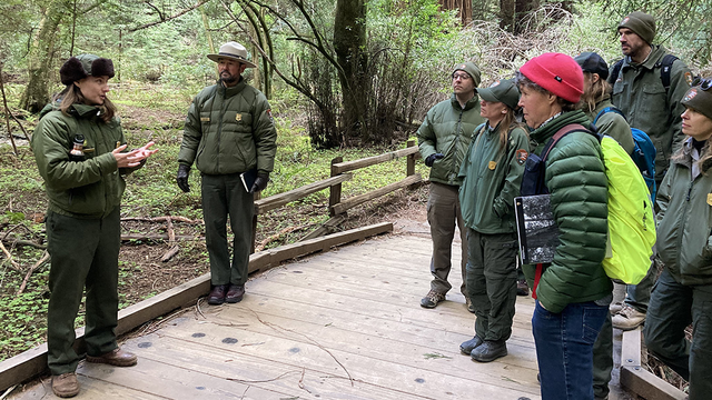 NPS rangers in green uniforms are seen in conversation on a boardwalk at Muir Woods.
