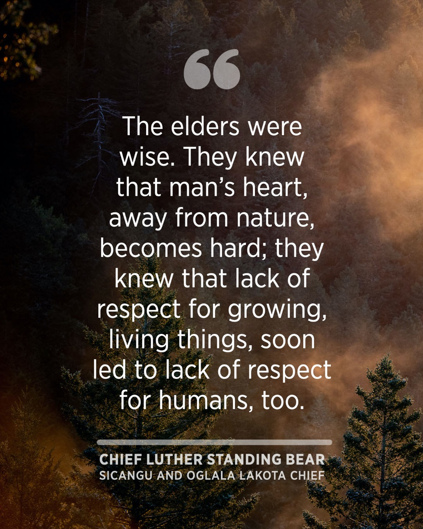 Quote graphic saying, “The elders were wise. They knew that man's heart, away from nature, becomes hard; they knew that lack of respect for growing, living things, soon led to lack of respect for humans, too."