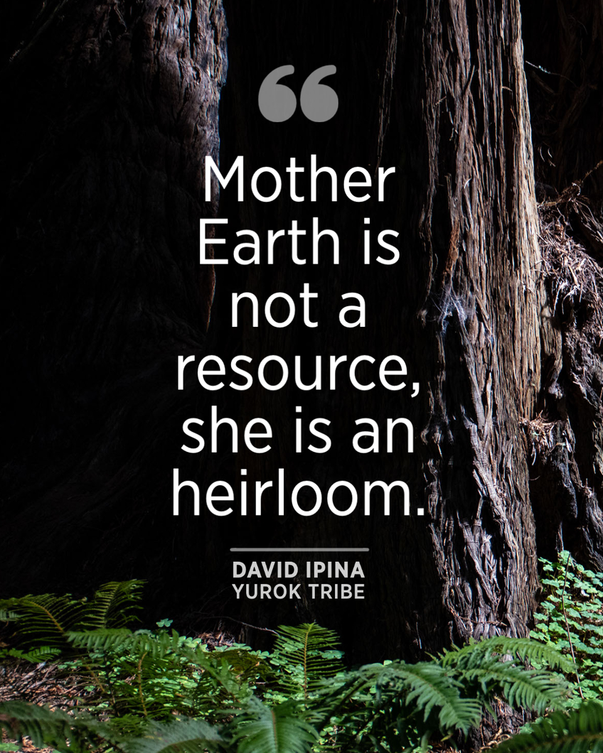 "If we build a society based on honoring the earth, we build a society which is sustainable, and has the capacity to support all life forms." - Winona LaDuke 