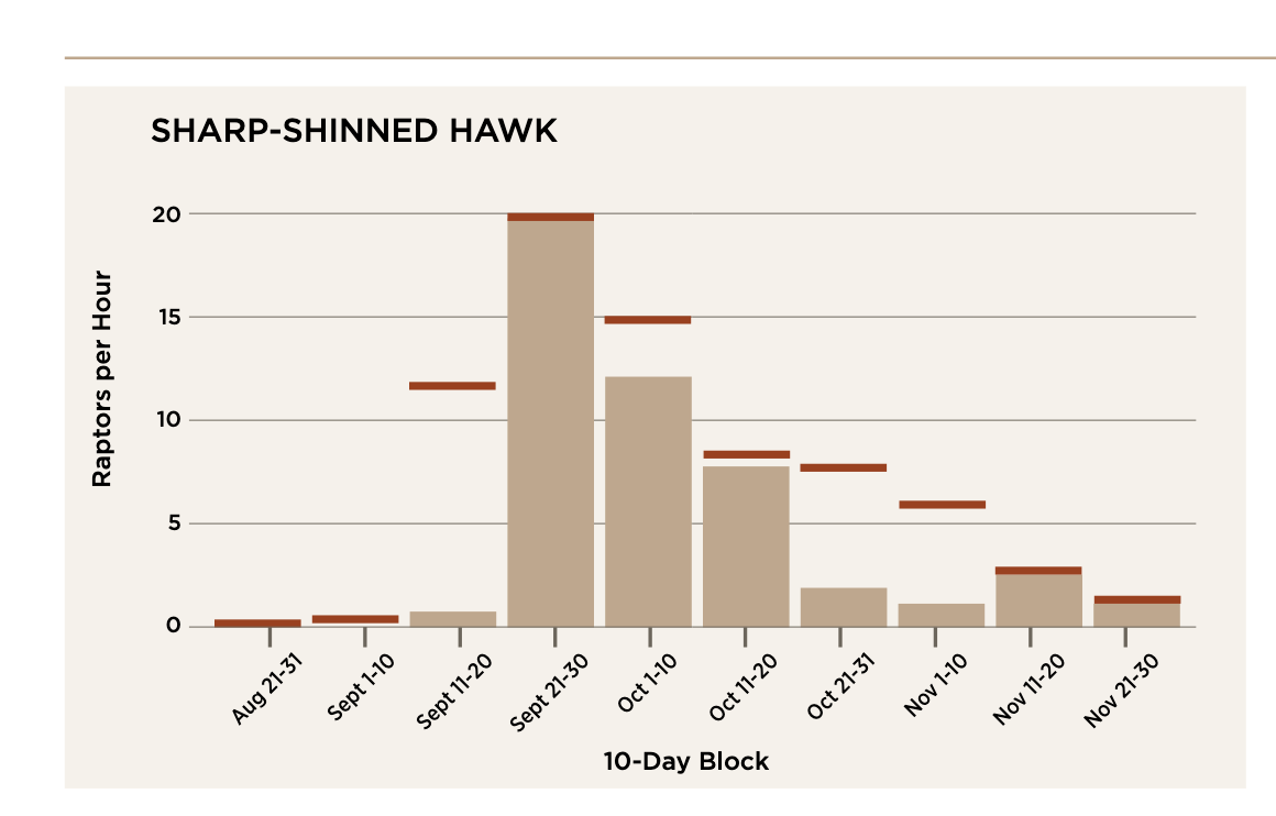 Sharp-shinned hawk migration rates chart