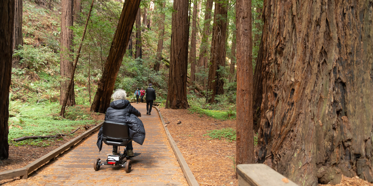 Wheelchair access along the boardwalk of Muir Woods A Muir Woods visitor enjoying the accessibility or the wheelchair accessible boardwalk.