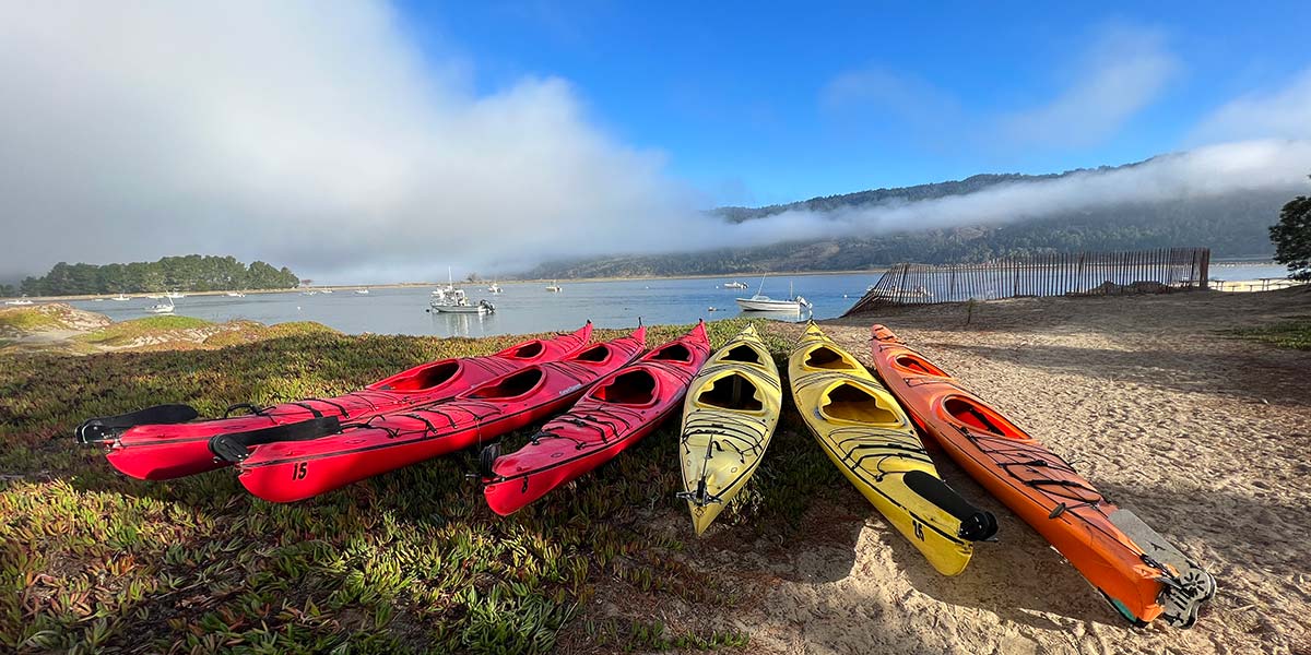 Tomales Bay Kayak and Picnic for 12​.