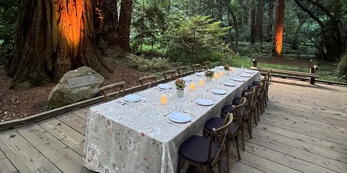 Muir Woods Dinner for 12​.