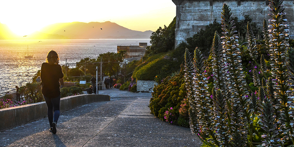 A person walking a path on Alcatraz Island. A person walking a path on Alcatraz Island.