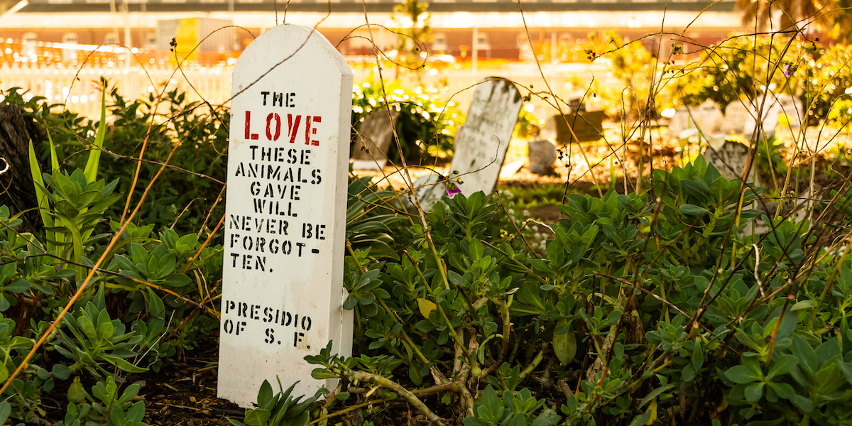 Pet cemetery in the Presidio of San Francisco.