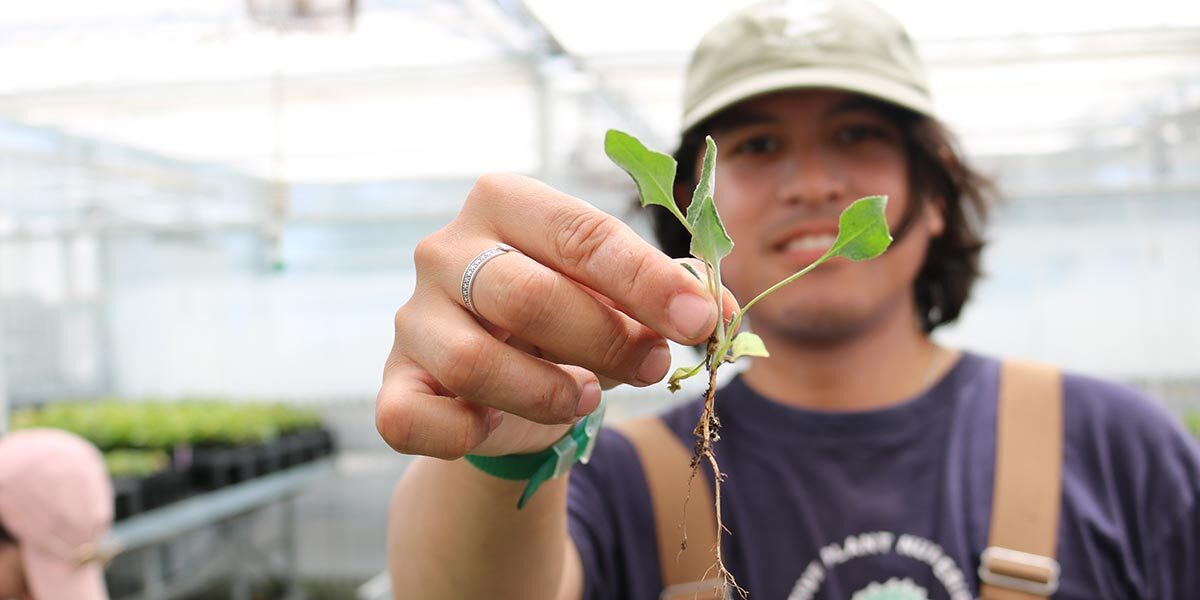 Intern at the Presidio Native Plant Nurseries.