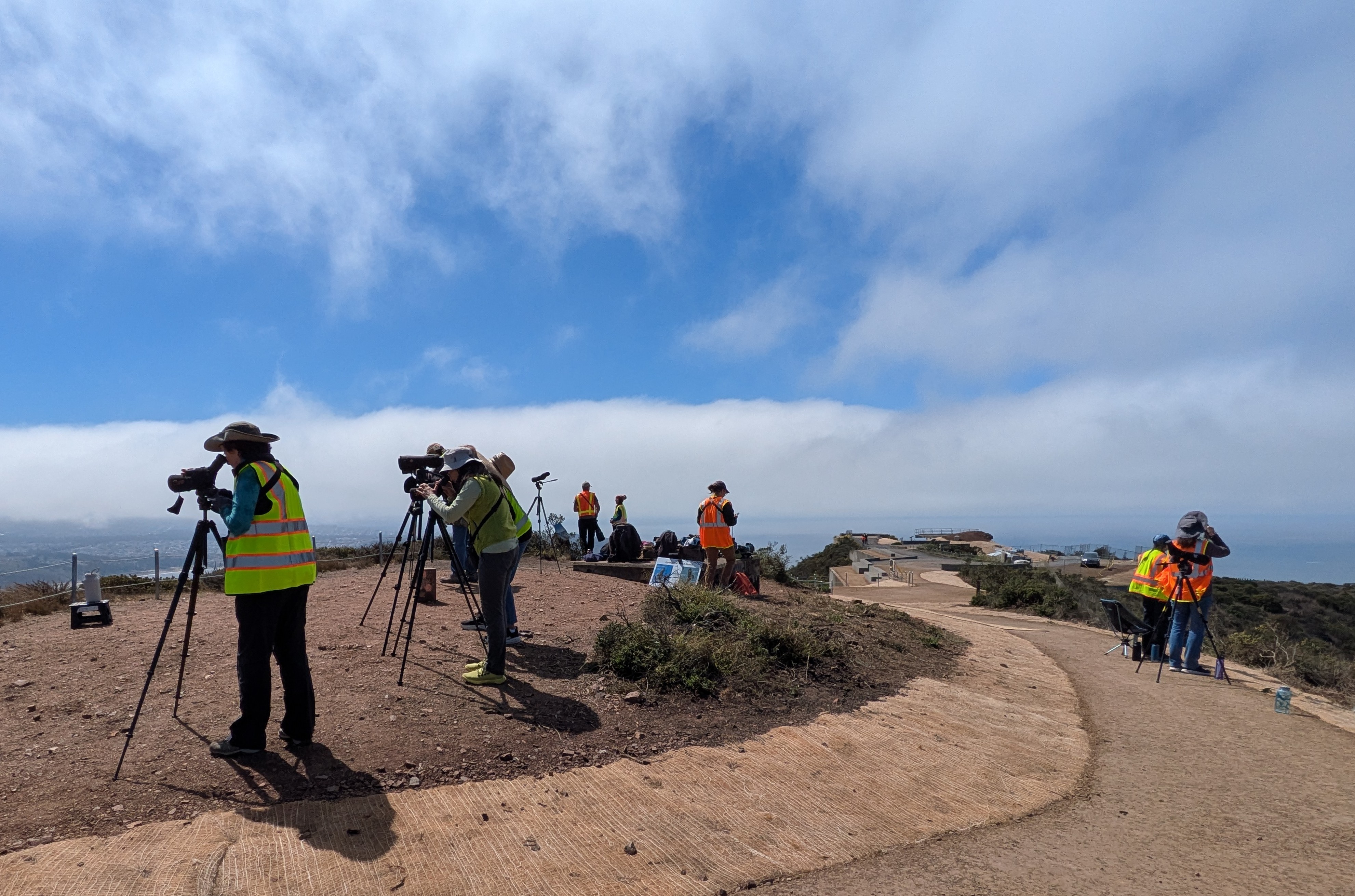 Volunteers in orange vests look through scopes and binoculars on a brown hilltop under partiall cloudy sky.