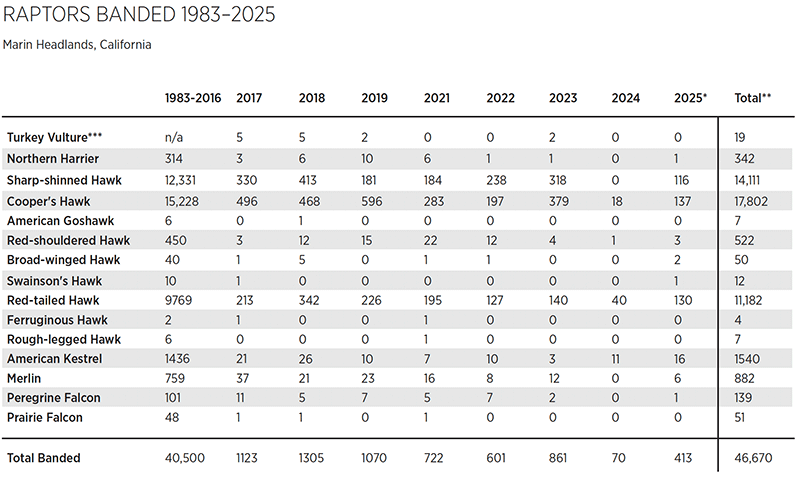Chart: Raptors banded 1983-2025