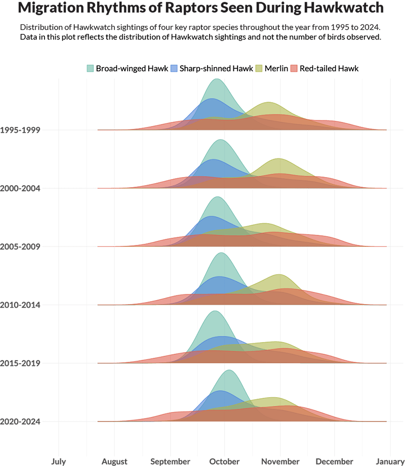 Chart: Migration Rhythms of Raptors Seen During Hawkwatch