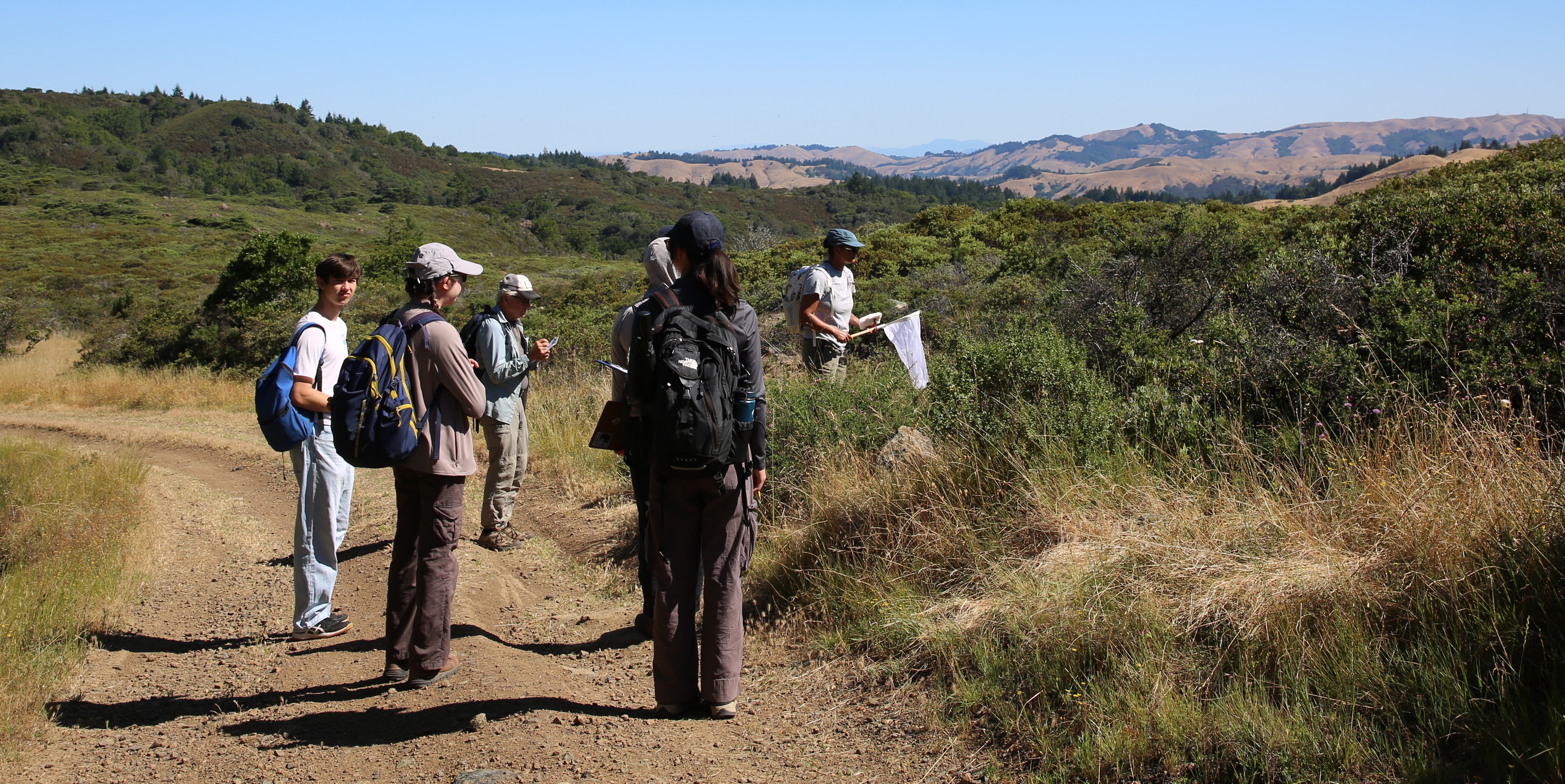 One Tam Bee Watch Volunteers and staff collect data and observe bee activity.
