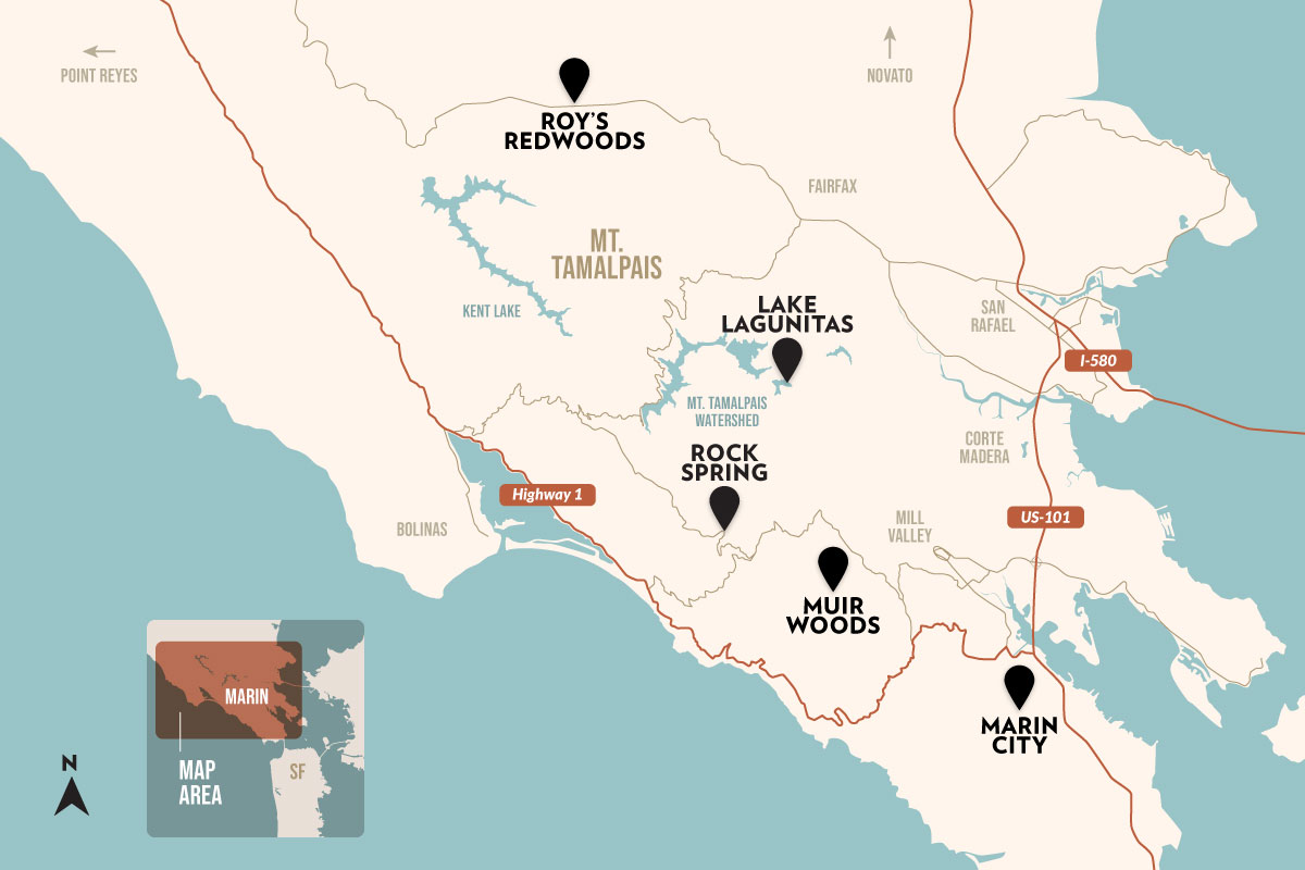 map of self-guided forest locations