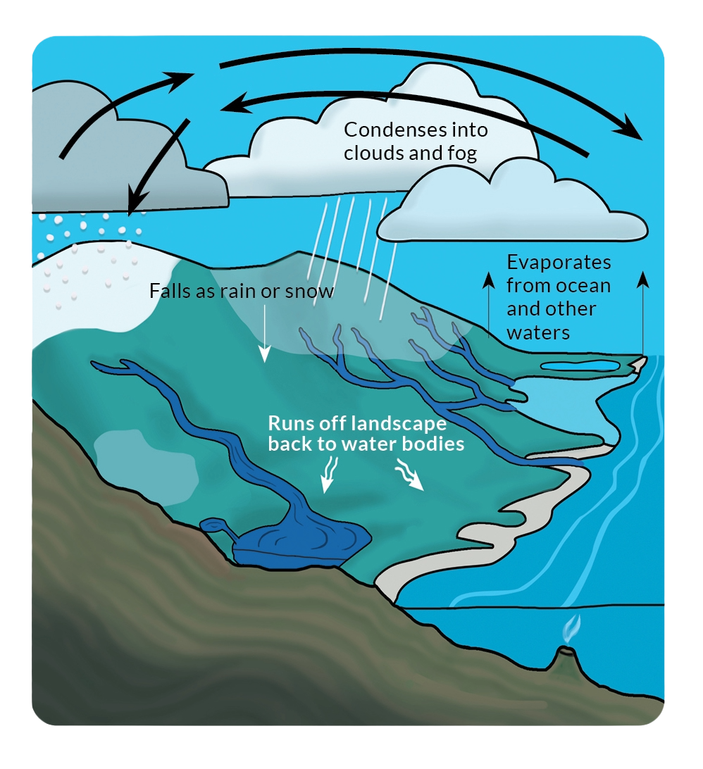 Diagram of watershed and how it works