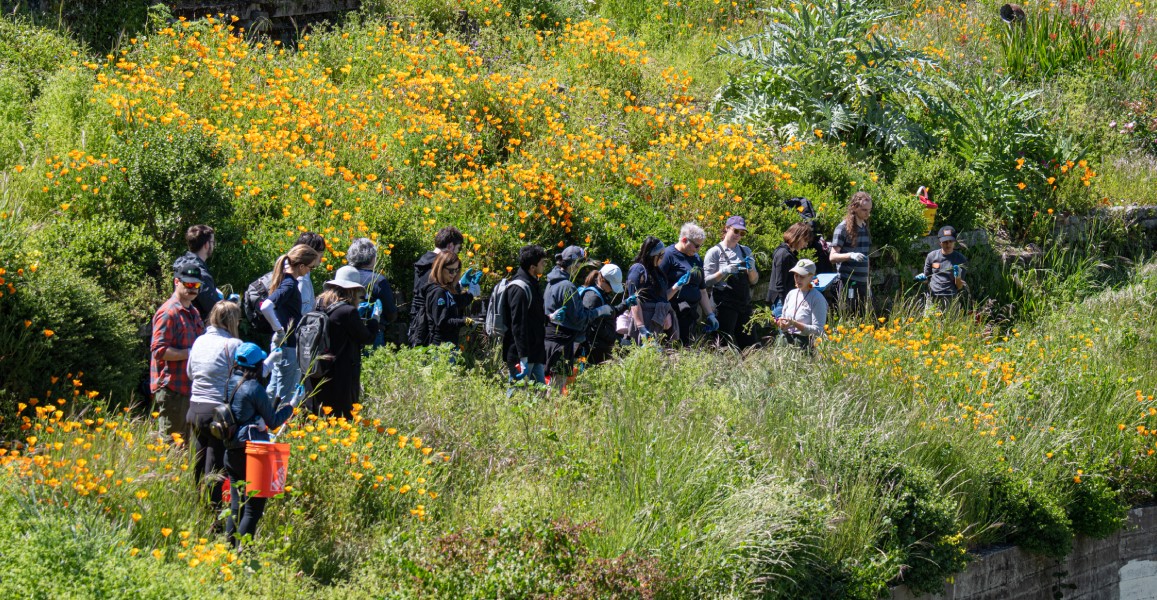 Earth Day and Spring Days of Service 2025 | Golden Gate National Parks ...