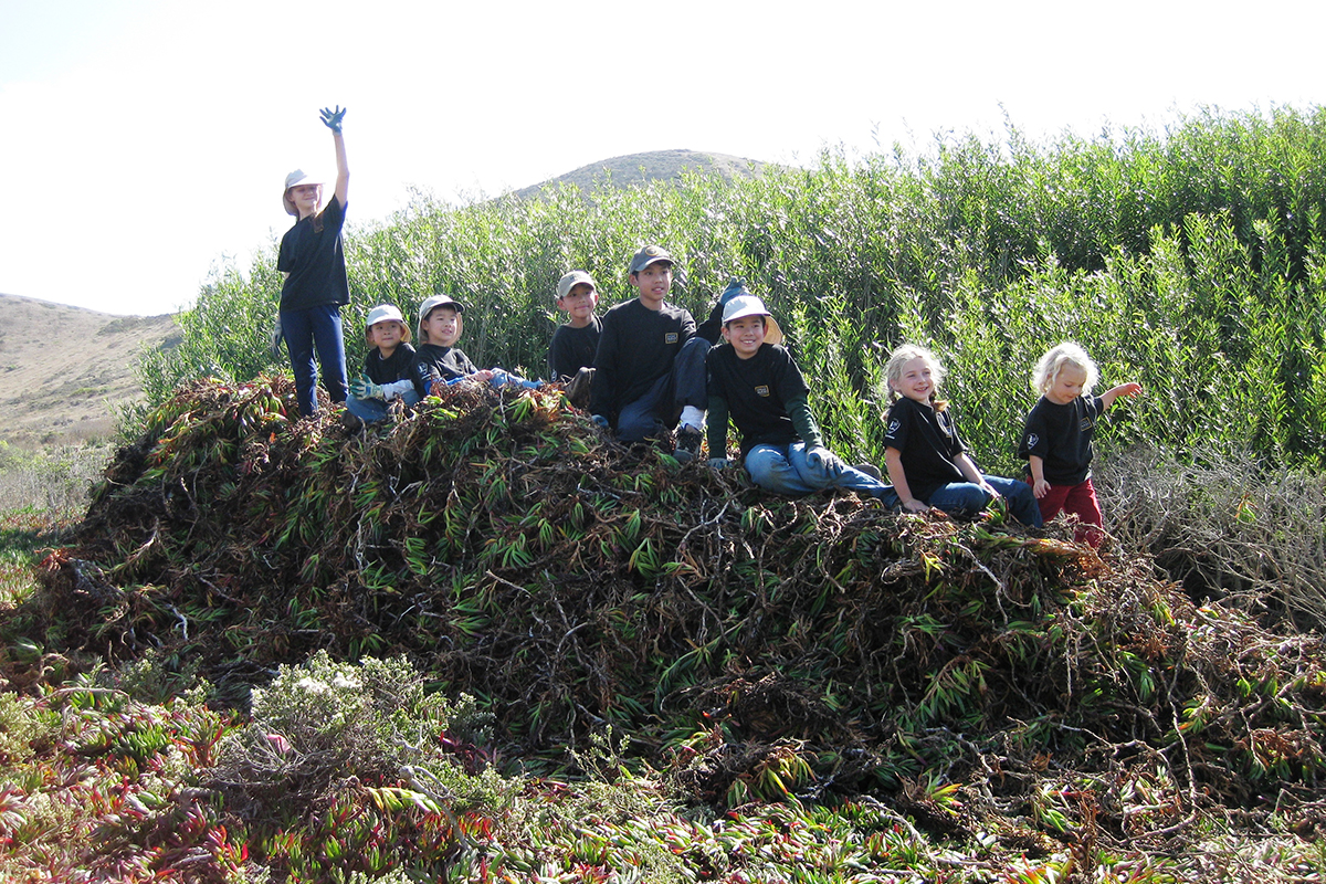 oung volunteers on top of a pile of invasive ice plant pulled from Mori Point