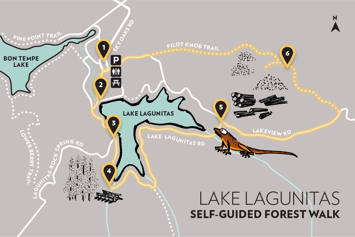 Map of Lake Lagunitas with six pin-drops