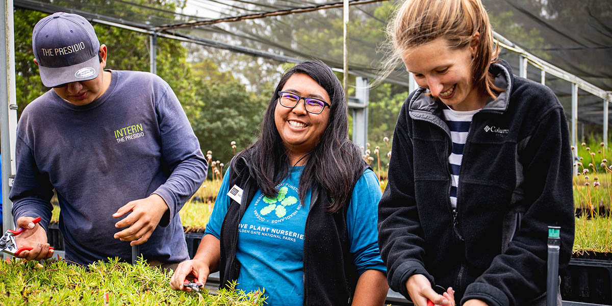 Staff and volunteers at the Presidio Native Plant Nursery.