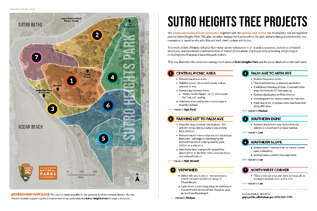 Sutro Heights Tree Projects