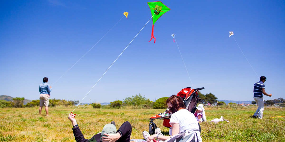 Crissy Field parkgoers enjoy a nice day flying kites on the grassy lawn.