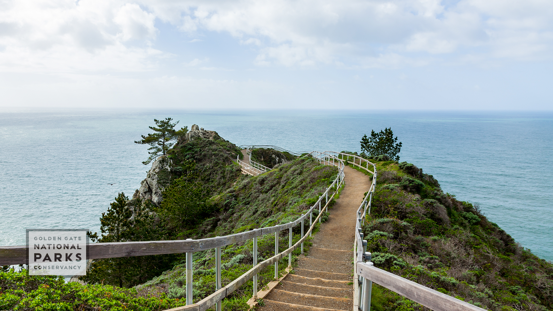 boardwalk to a Muir Beach overlook