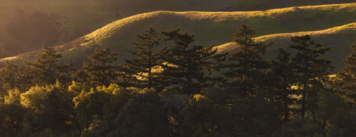 Mount Tamalpais