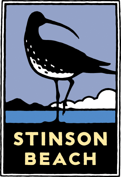 Schwab image of a long-billed shorebird walking on a beach with hills and clouds in the distance