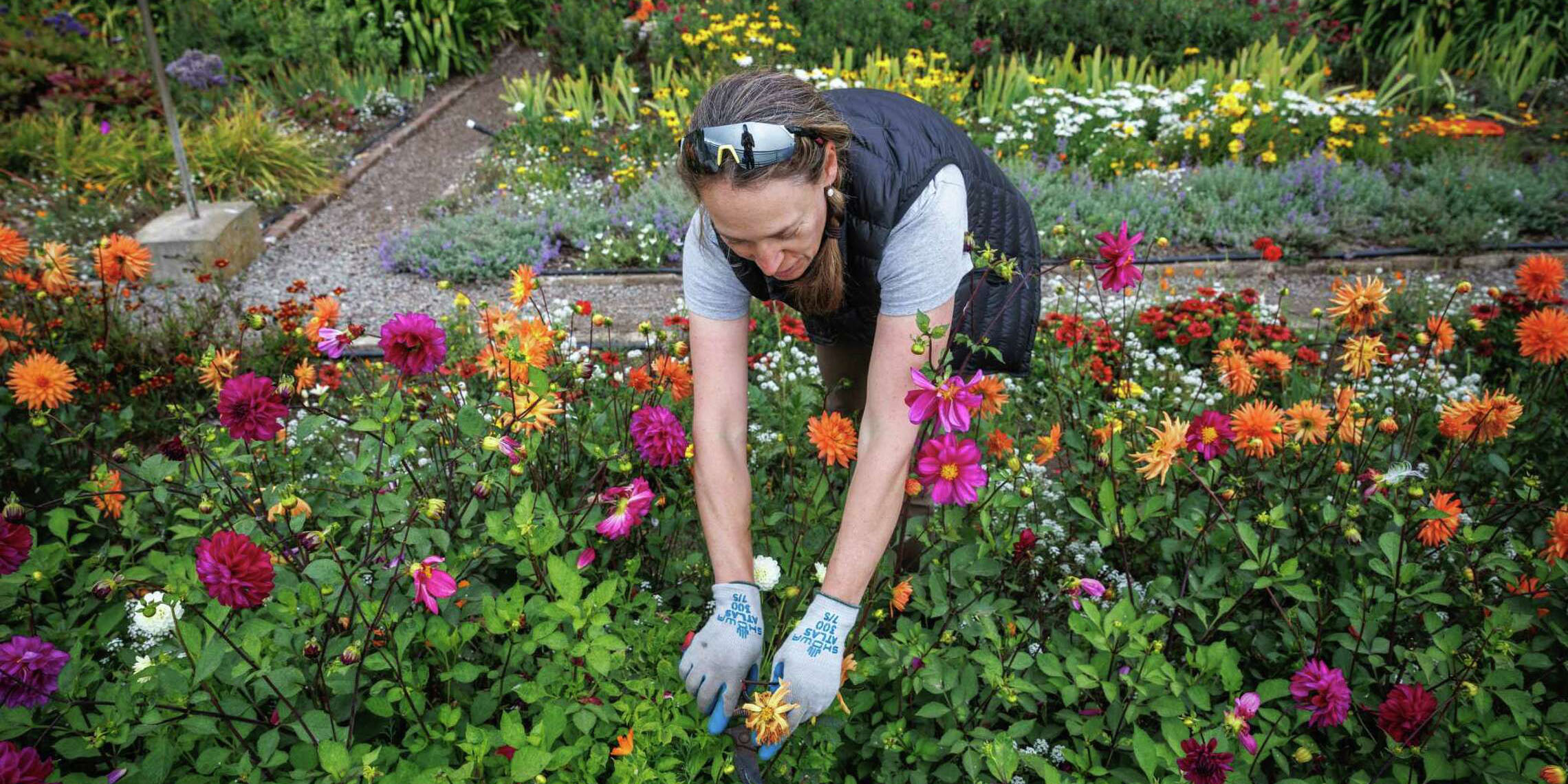 Shelagh Fritz tends to garden beds on Alcatraz Island.