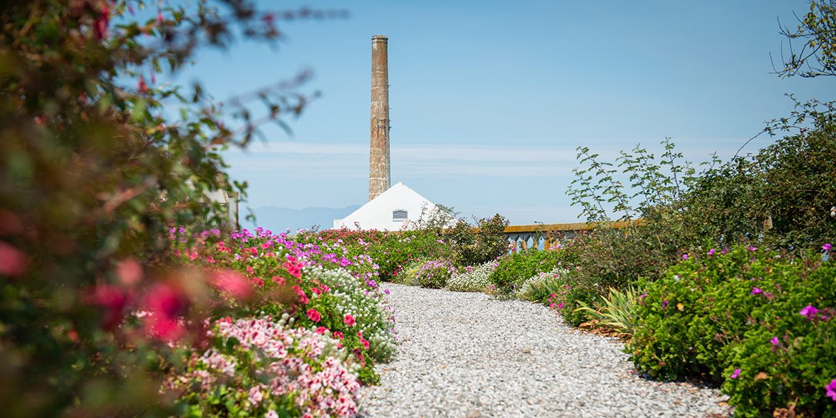 The Alcatraz Historic Gardens with the Power Plant seen in the background.