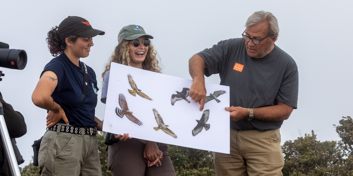 Support Raptor Research