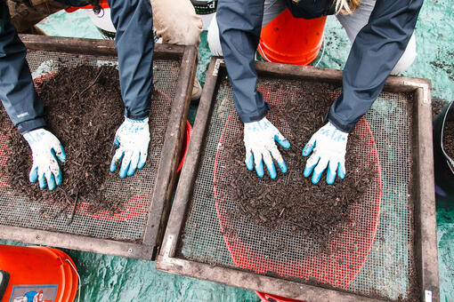 Gloved hands sifting compost through metal screens at Alcatraz Historic Gardens.