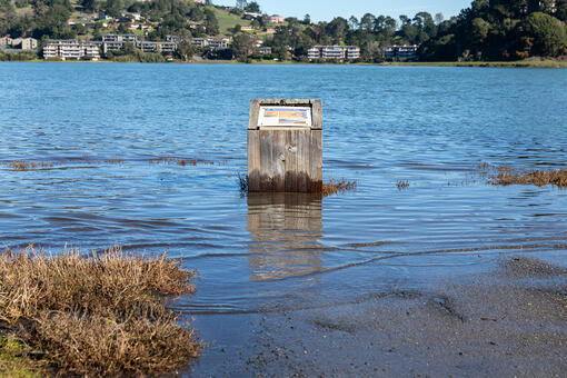 An underwater sign at Bothin Marsh.
