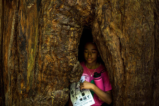 Girl inside a redwood tree trunk with her eyes closes.