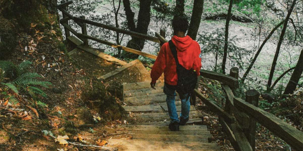 Trail on Mount Tamalpais