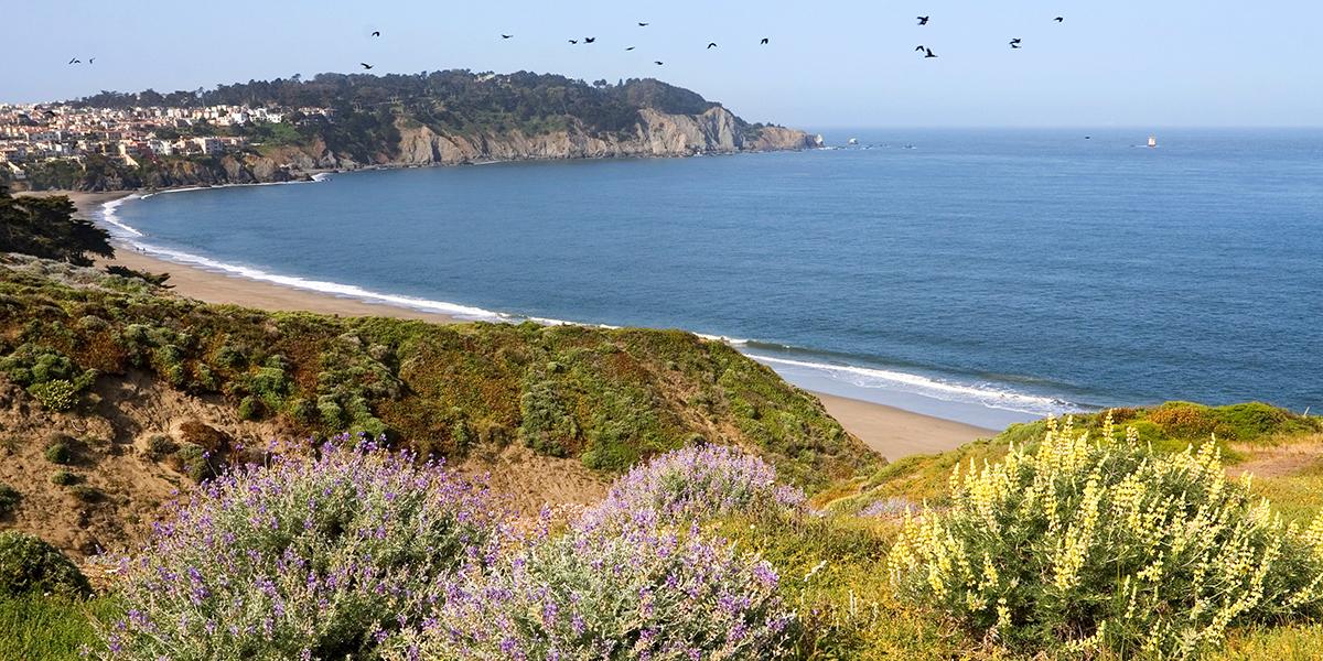 Presidio bluffs view towards the Pacific Ocean