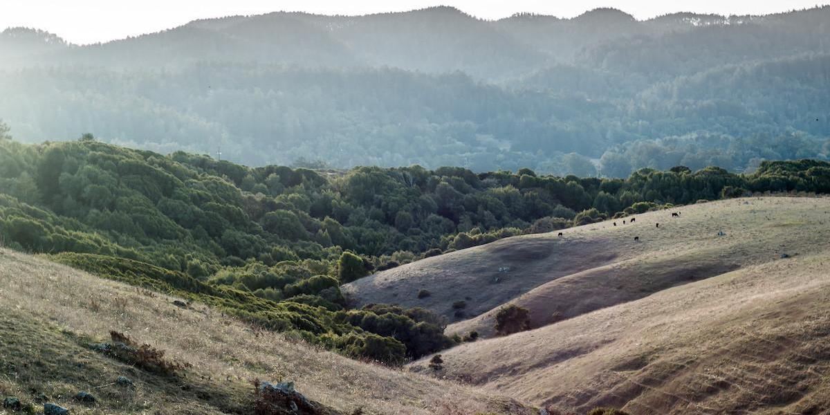 Sunset at Bolinas Ridge