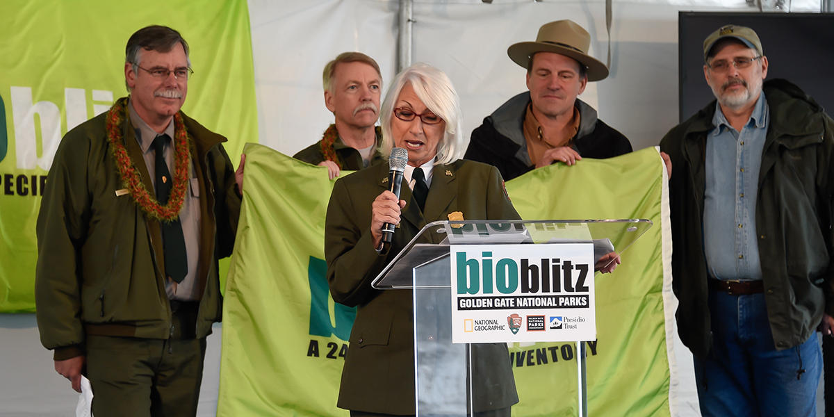 BioBlitz 2014