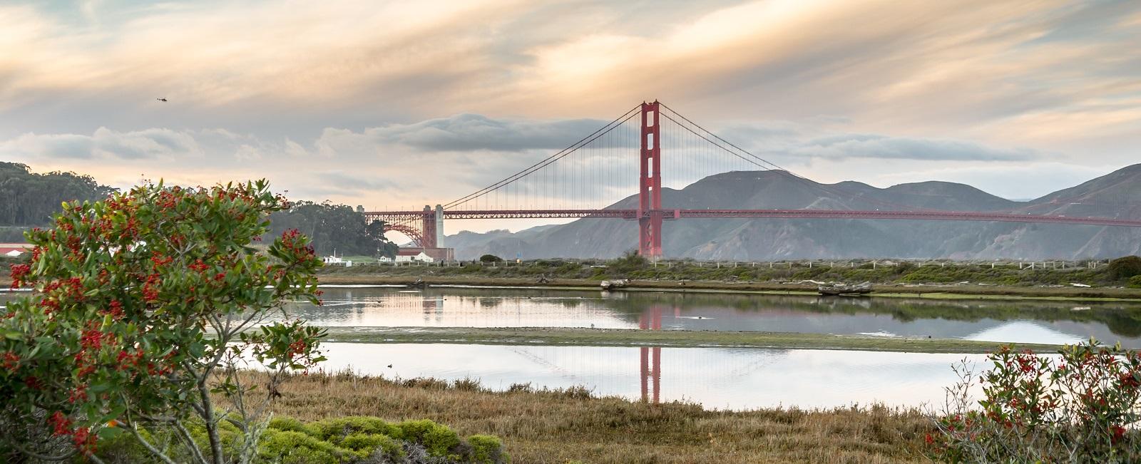 Crissy Field marsh