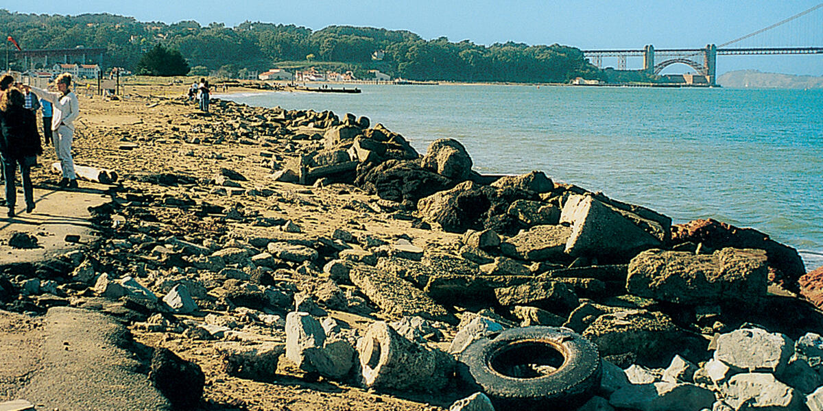 Crissy Field shoreline in 1997, before restoration