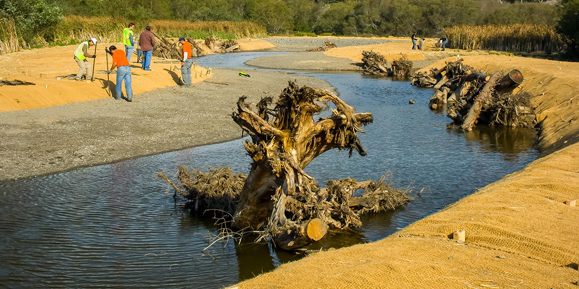 Redwood Creek restoration. 